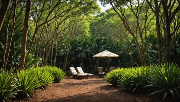 Venez découvrir le luxe du camping au coeur de la forêt landaise